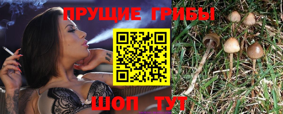 Костомукша  Псилоцибиновые грибы прущие грибы  где купить наркоту  Вход с VPN 